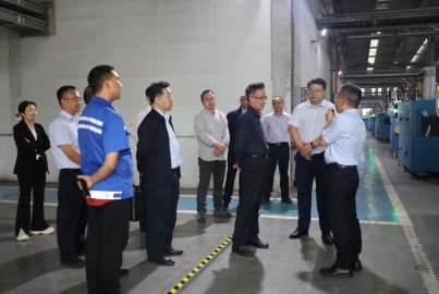 省經(jīng)濟(jì)合作局托底性幫扶工作組到蜀能礦產(chǎn)磷酸鐵鋰廠調(diào)研